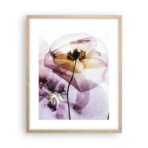 Poster in cornice rovere chiaro - Fiori trasparenti - 40x50 cm