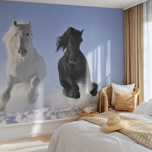 Fotomurali Autoadesivo Deluxe Sticker - Galoppo in bianco e nero - Animali, Cavallo, Inverno - 100x70 cm