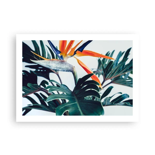 Poster - Pianta uccello - 70x50 cm