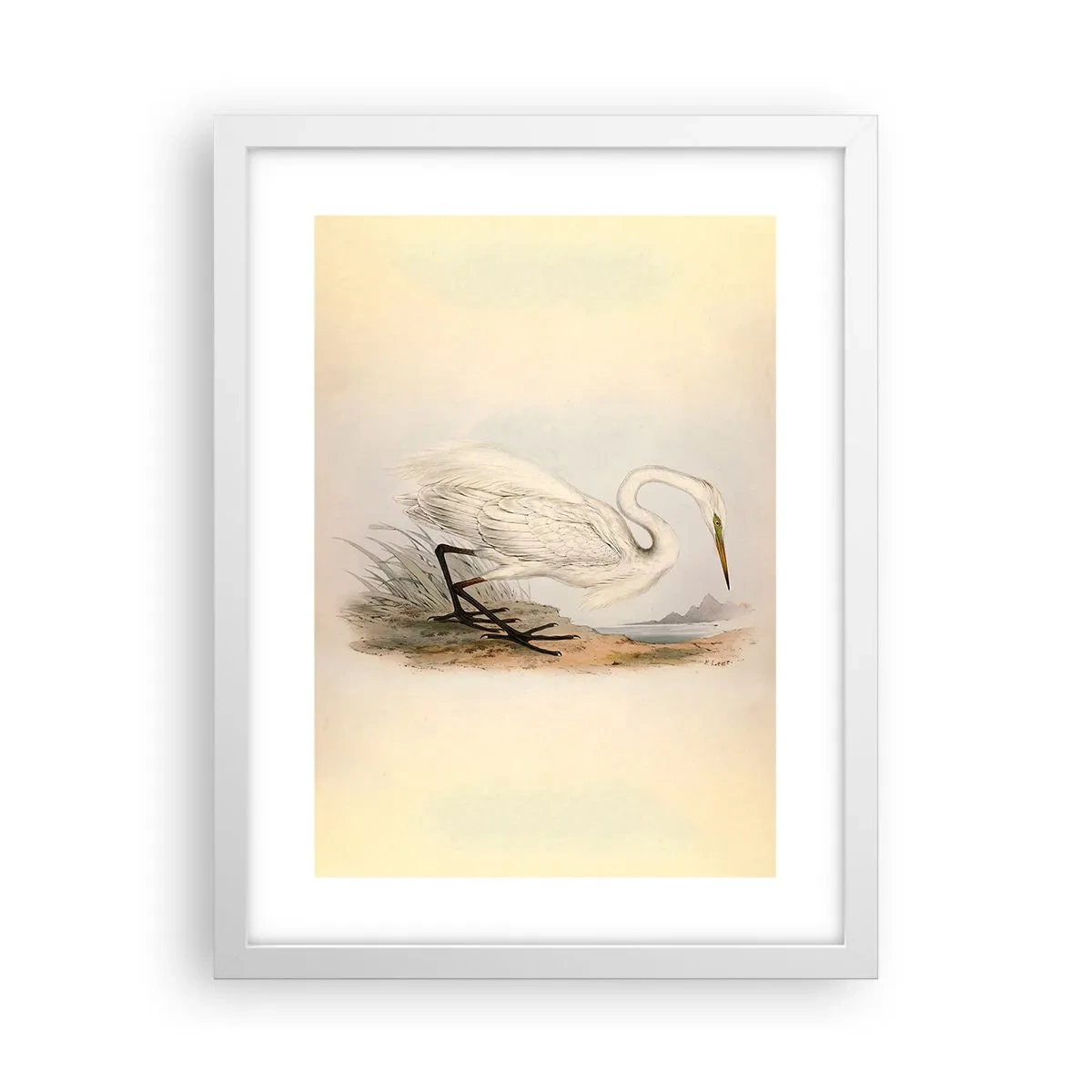 Poster in cornice bianca - La signora nel canneto - 30x40 cm