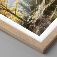 Rovere chiaro