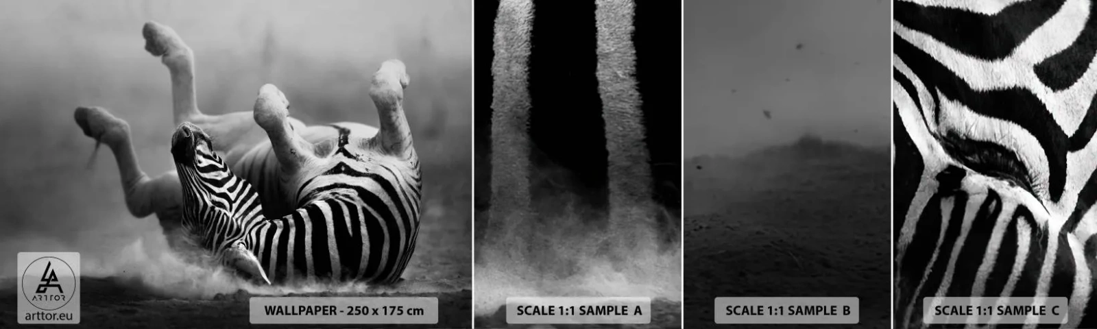 Campione Di Fotomurale Standard Eco - Morire dal ridere - Animali, Costolette, Natura - 100x30 cm