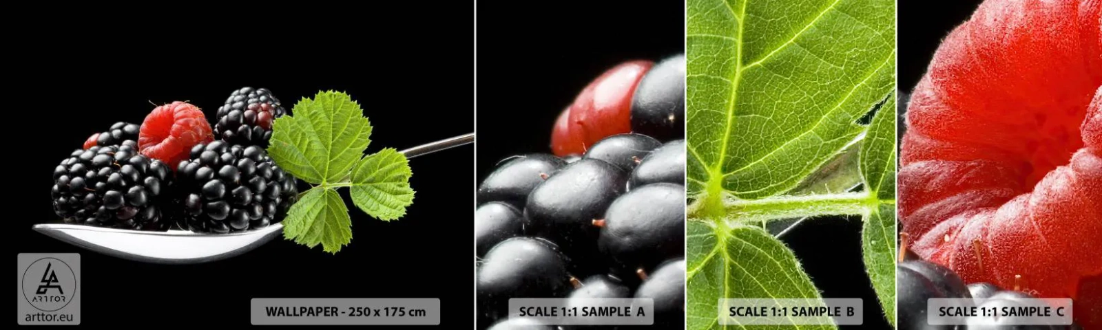 Campione Di Fotomurale Standard Eco - I sapori della freschezza - Frutta, Mora, Lampone - 100x30 cm