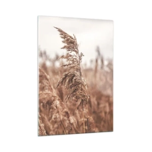 Quadro su vetro - Erbe secche nel vento nella luce autunnale della natura - 50x70cm - Nei campi è già autunno - Decorazione murale moderna per soggiorno e camera da letto ARTTOR