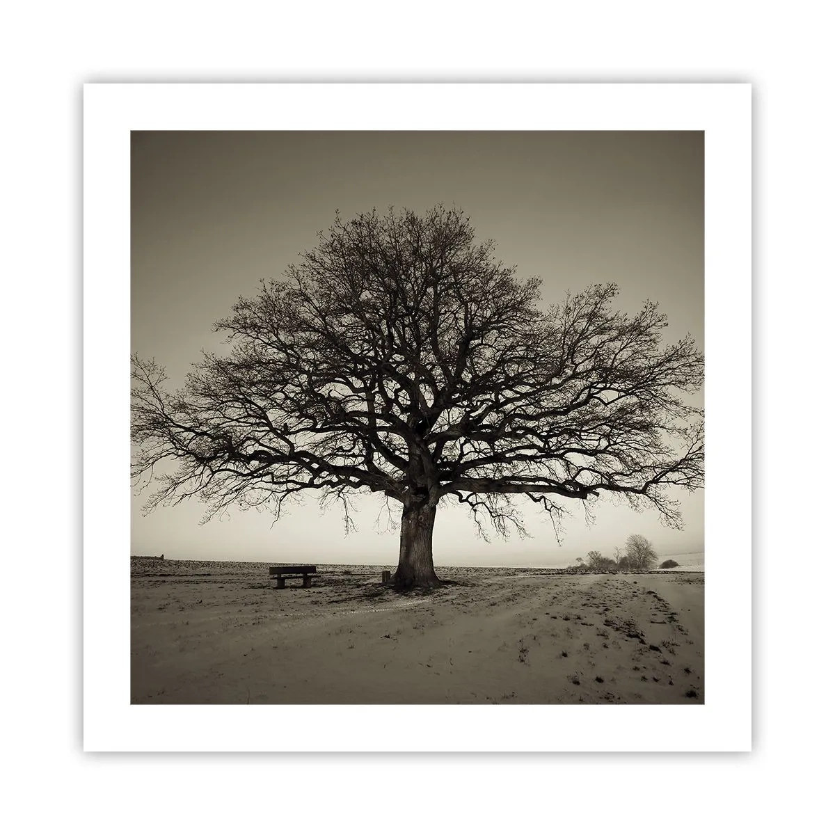 Poster - Da qui all'eternità - 50x50 cm