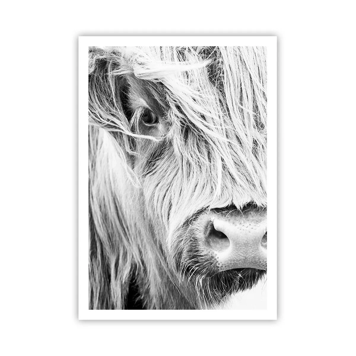 Poster - Selvaticità scozzese - 70x100 cm