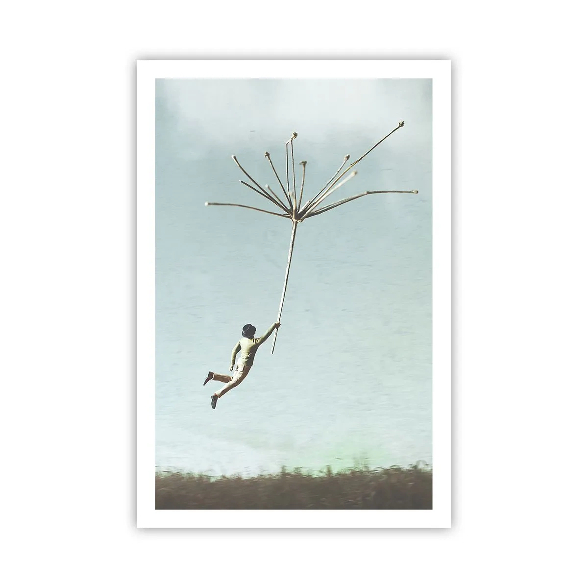 Poster - Aquiloni, denti di leone, vento - 61x91 cm