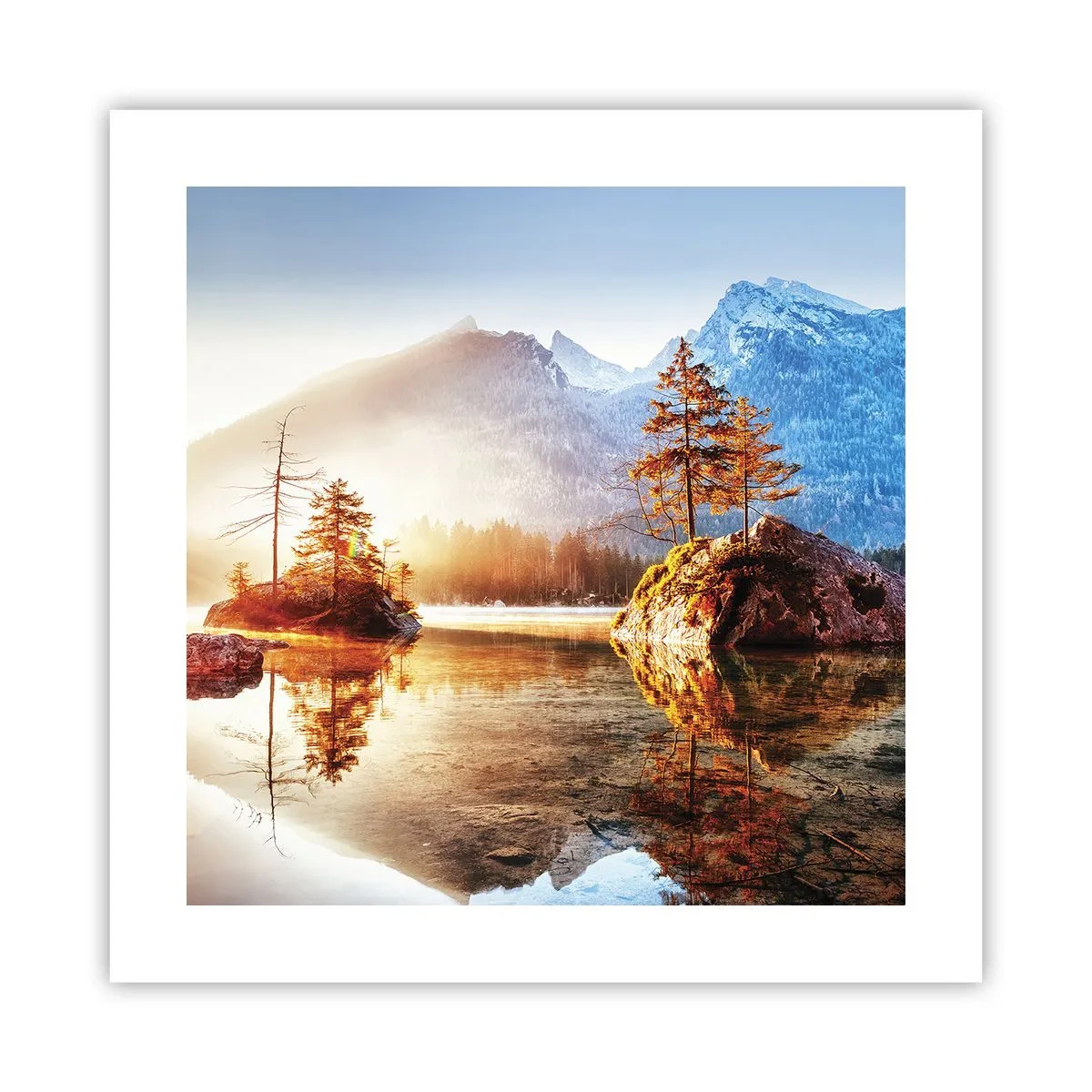 Poster - La natura in una nuova luce - 40x40 cm
