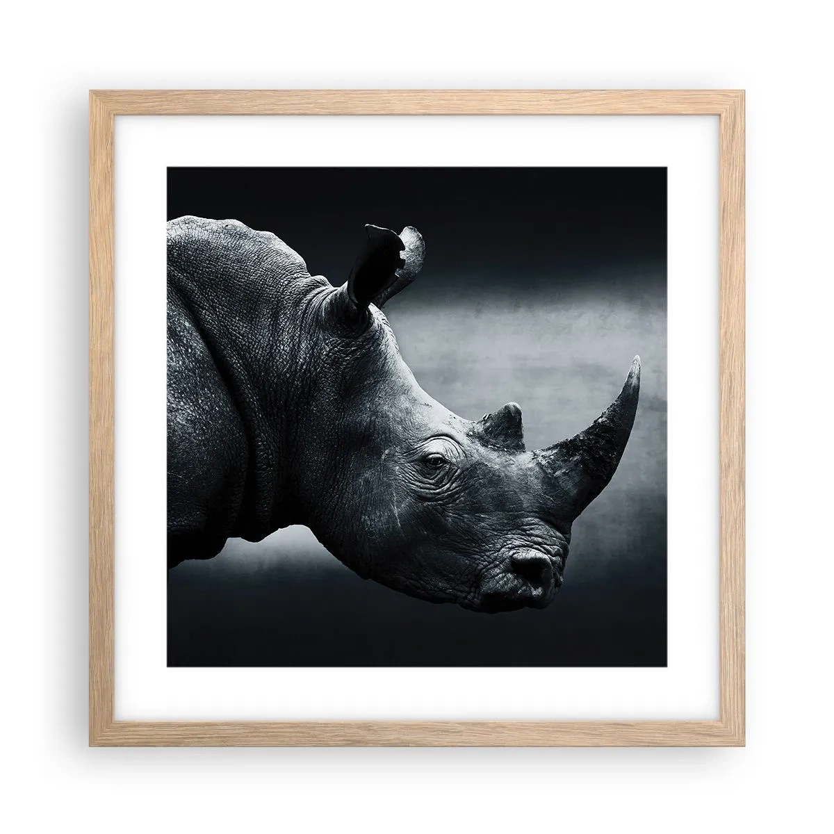 Poster in cornice rovere chiaro - Profilo destro - 40x40 cm