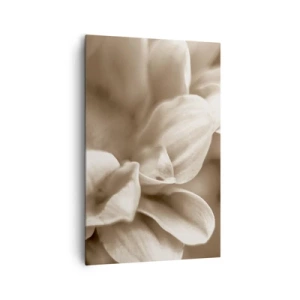 Quadro su tela - Stampe su Tela - Primo piano di fiori in una delicata tonalità seppia con contorni morbidi - 80x120cm - Mite come un sorriso - Decorazione murale moderna per soggiorno e camera da letto ARTTOR