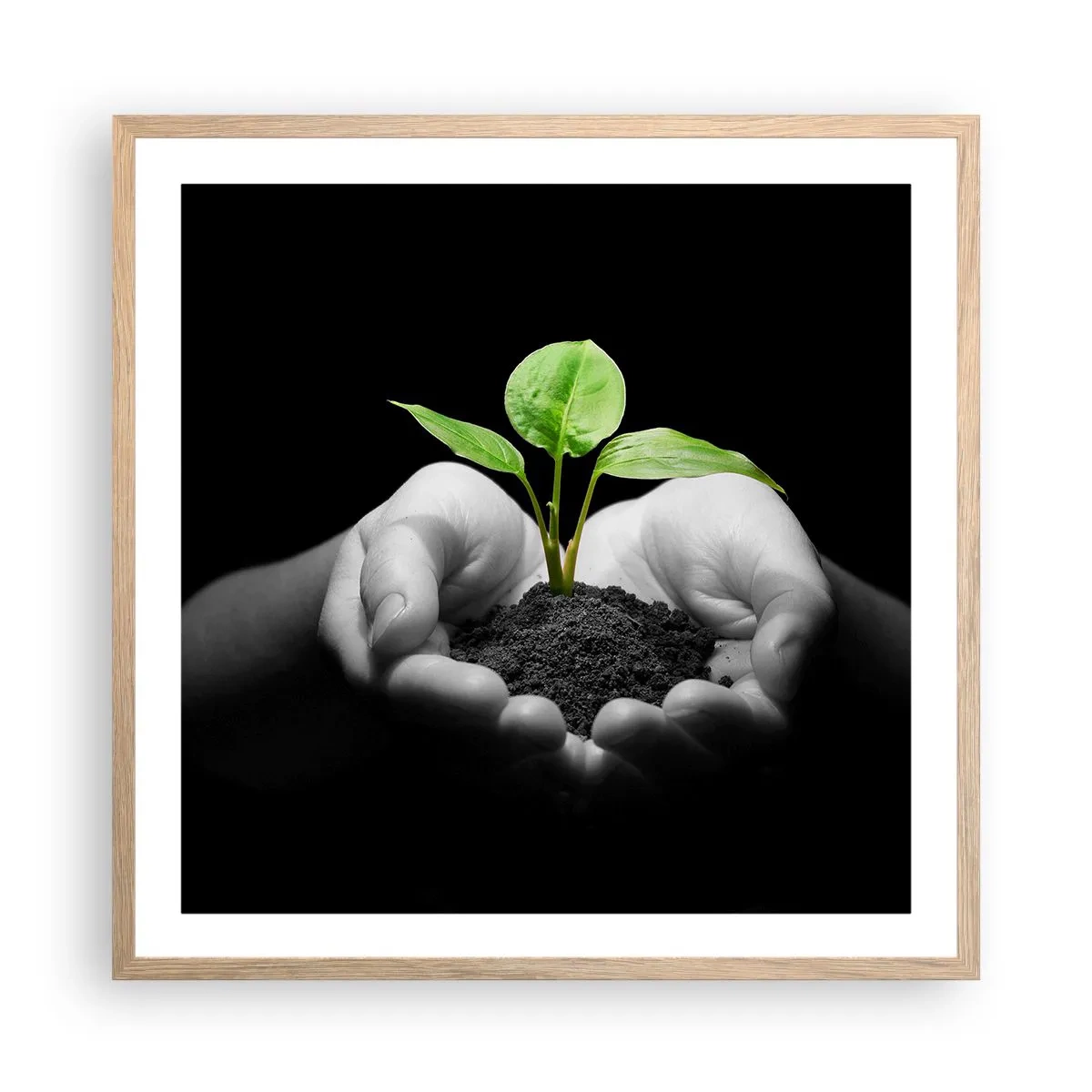 Poster in cornice rovere chiaro - Amo la natura, la proteggo - 60x60 cm