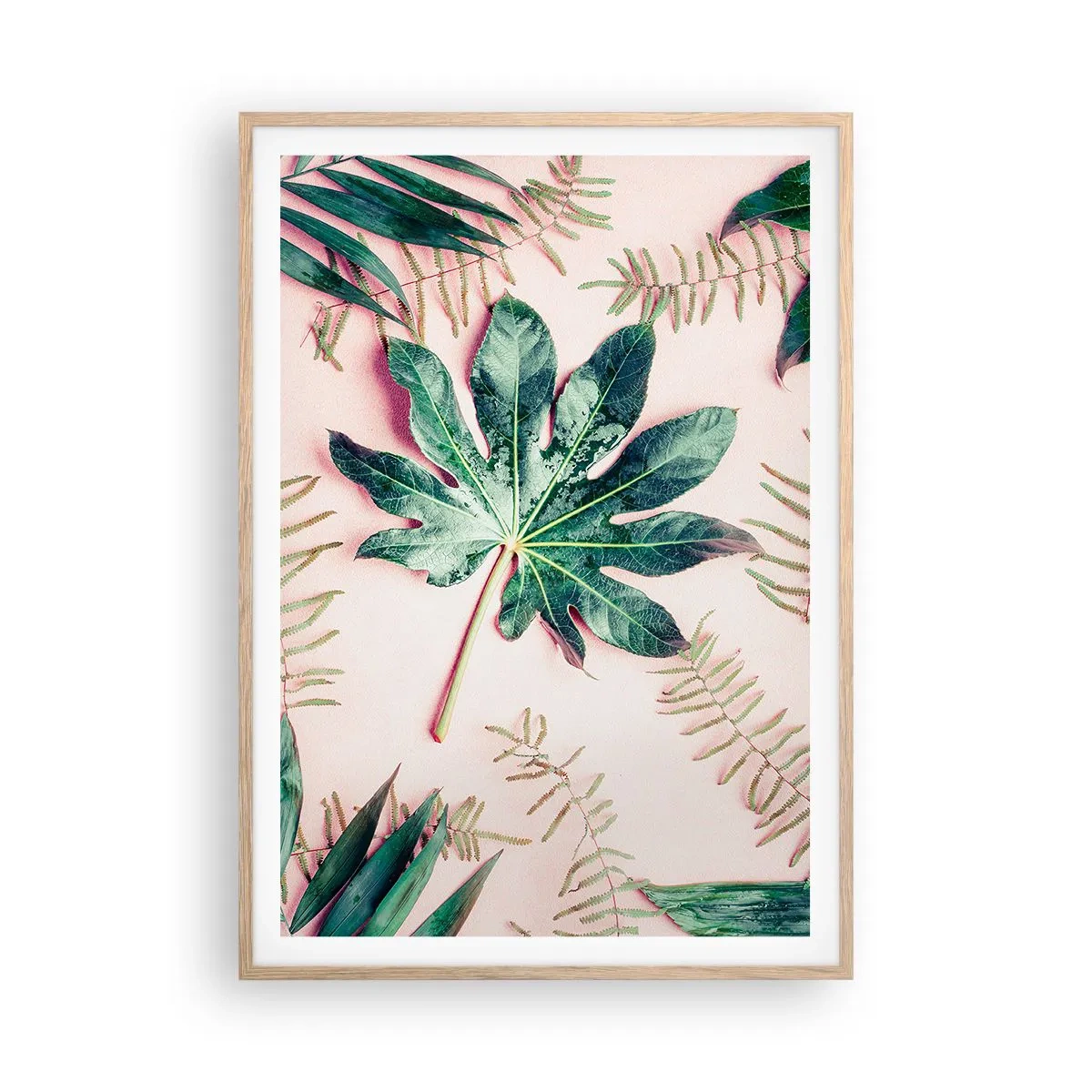 Poster in cornice rovere chiaro - Studio di verde su sfondo rosa - 70x100 cm