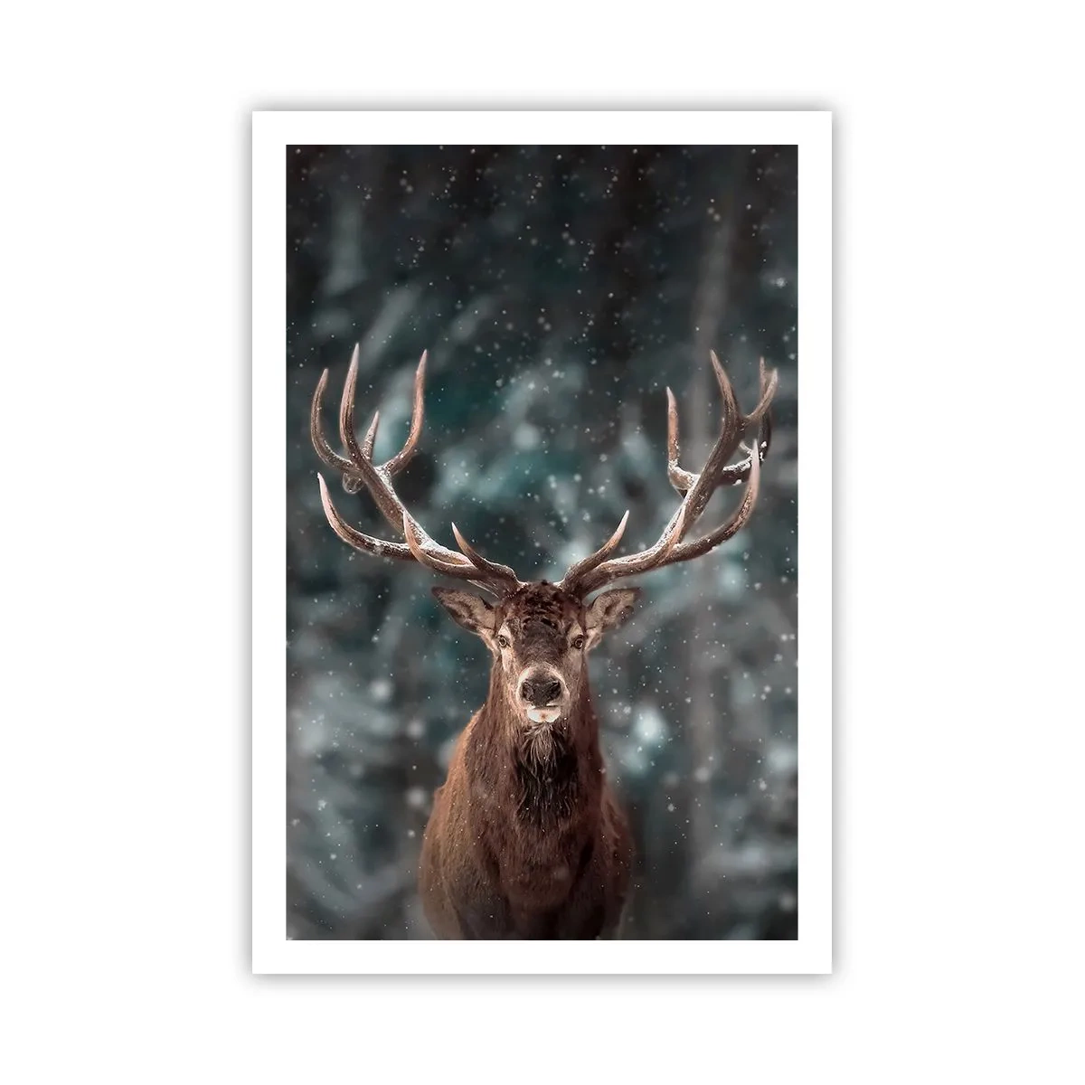 Poster - Il re del bosco incoronato - 61x91 cm