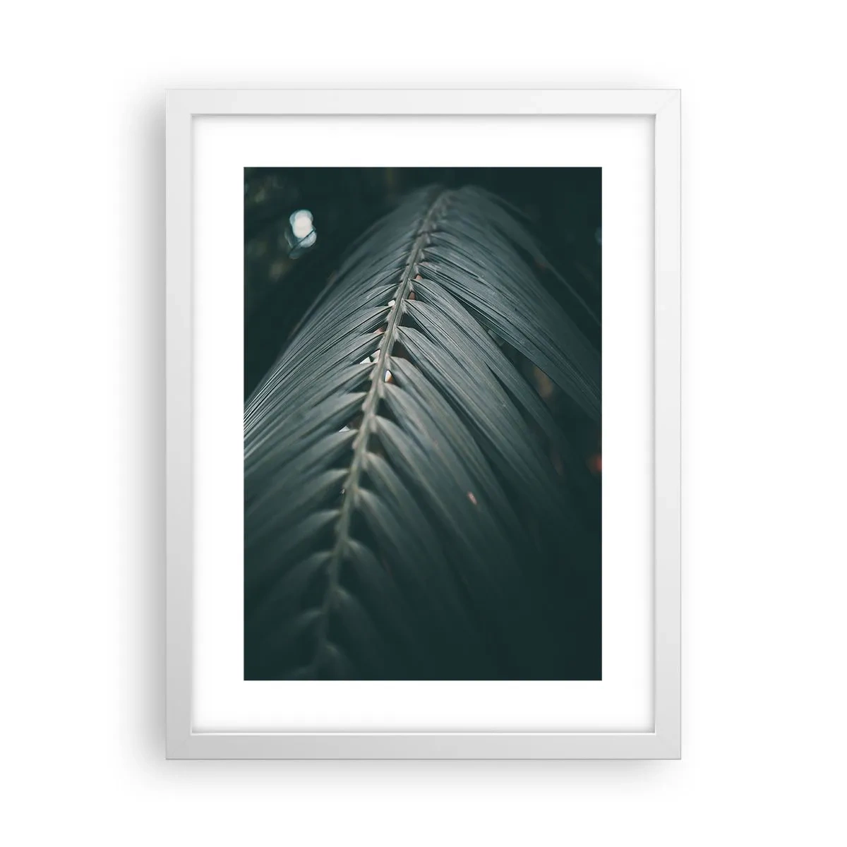 Poster in cornice bianca - La precisione della natura - 30x40 cm