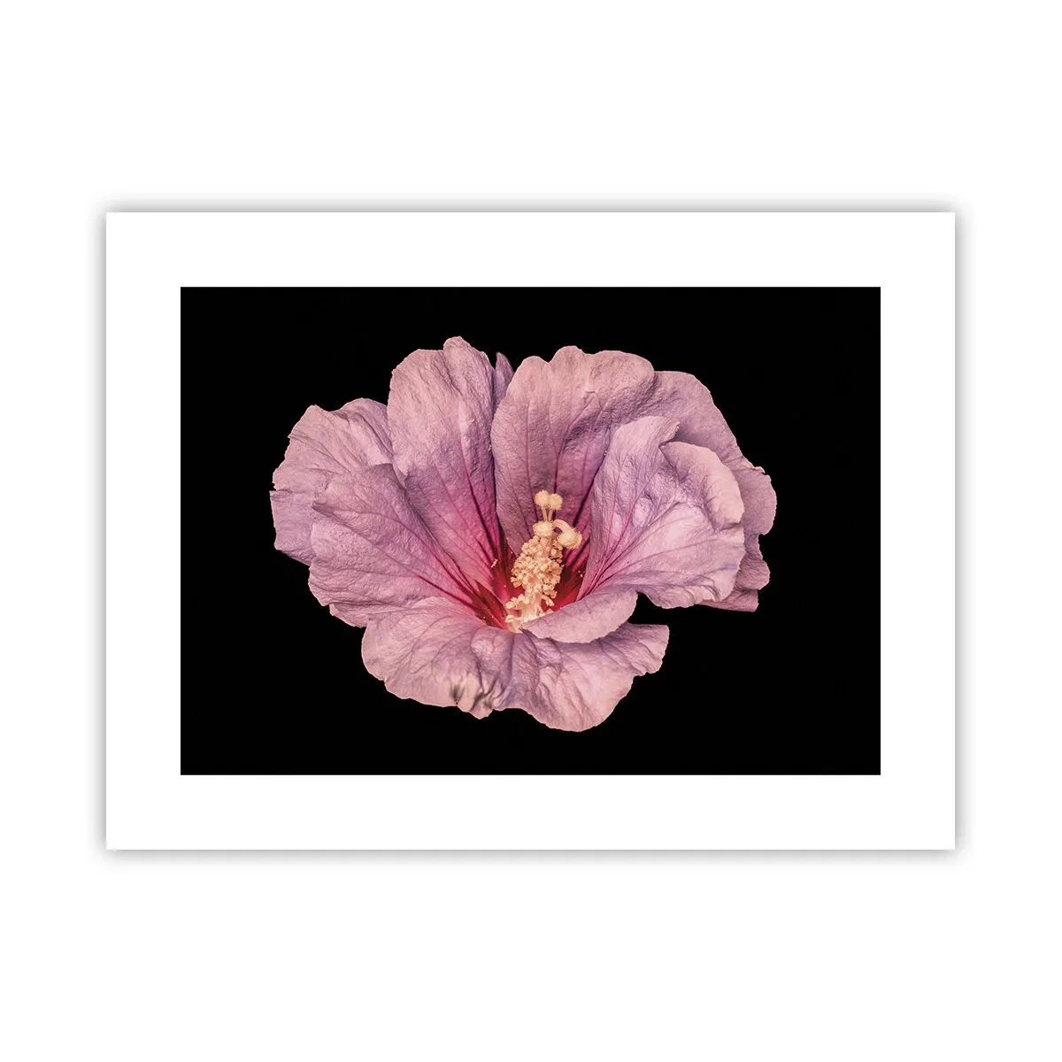 Poster - Dritto al cuore - 40x30 cm