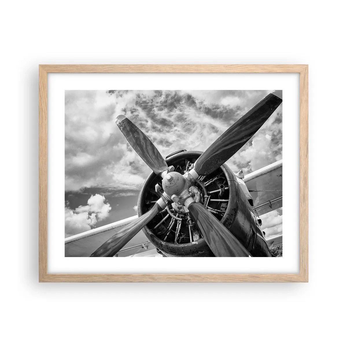 Poster in cornice rovere chiaro - Il dominatore dell'aria - 50x40 cm