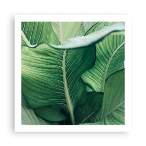 Poster - Una vita intensamente verde - 60x60 cm