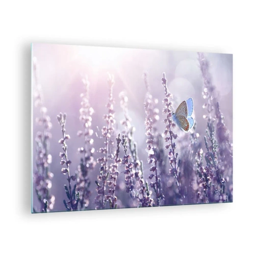 Quadro su vetro - Una farfalla in un campo di lavanda al sole - 70x50cm - Il bacio della farfalla - Decorazione murale moderna per soggiorno e camera da letto ARTTOR