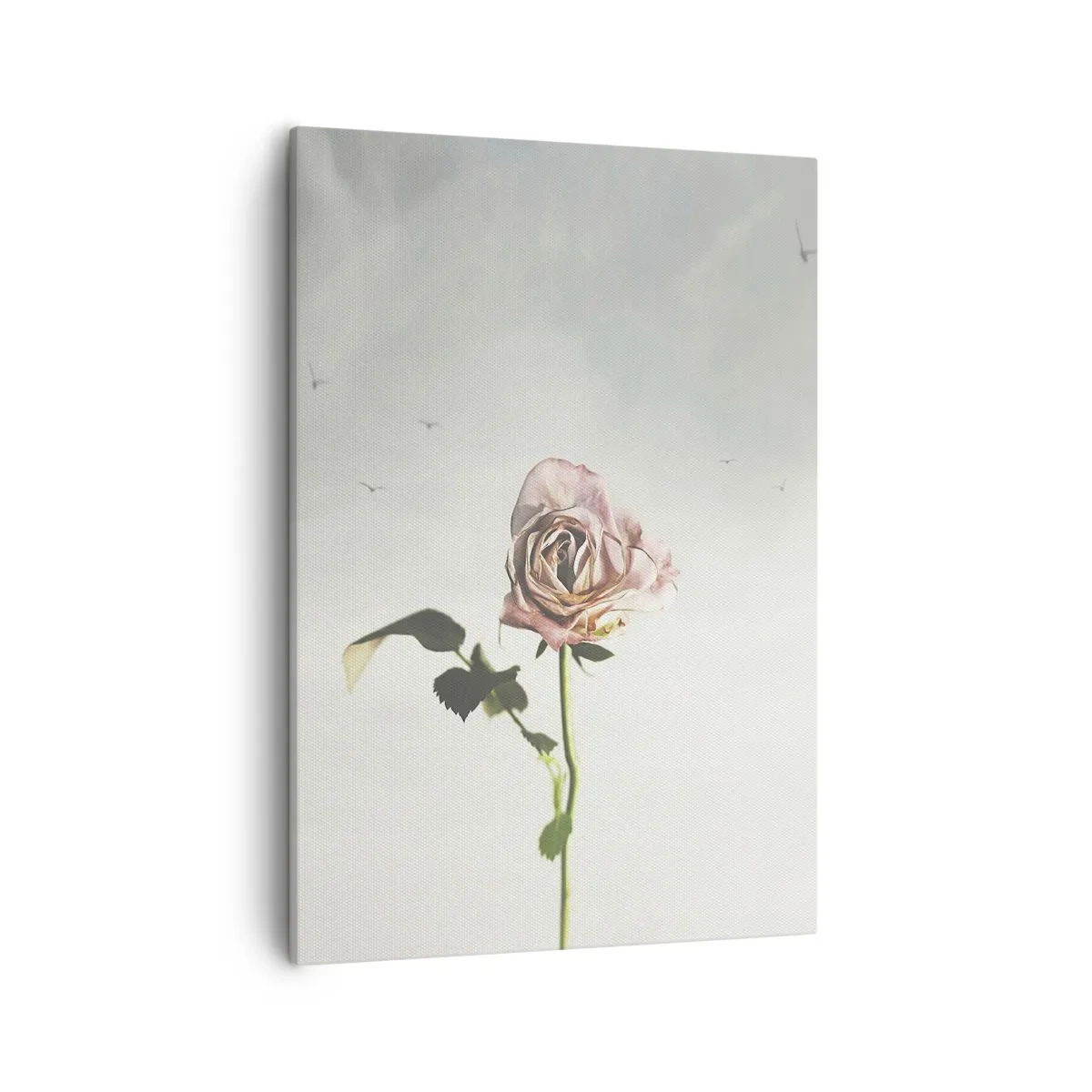 Quadro su tela - Stampe su Tela - Una rosa delicata contro un cielo luminoso con uccelli che volano - 50x70cm - Il benvenuto alla primavera - Decorazione murale moderna per soggiorno e camera da letto ARTTOR