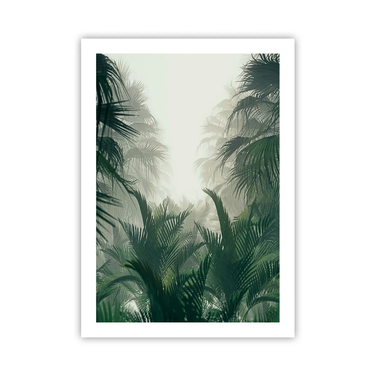 Poster - Vegetazione tropicale in un ambiente nebbioso - 50x70cm - Mistero dei tropici - Decorazione murale moderna per soggiorno e camera da letto ARTTOR