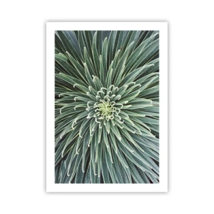 Poster - Primo piano di una pianta verde con foglie simmetriche. - 50x70cm - La nascita delle stelle - Decorazione murale moderna per soggiorno e camera da letto ARTTOR