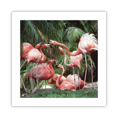 Poster - Pettegolezzi pomeridiani - 40x40 cm