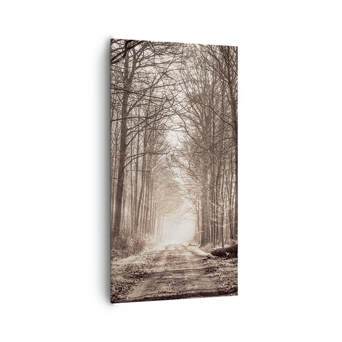 Quadro su tela - Stampe su Tela - La cattedrale del bosco - 65x120 cm
