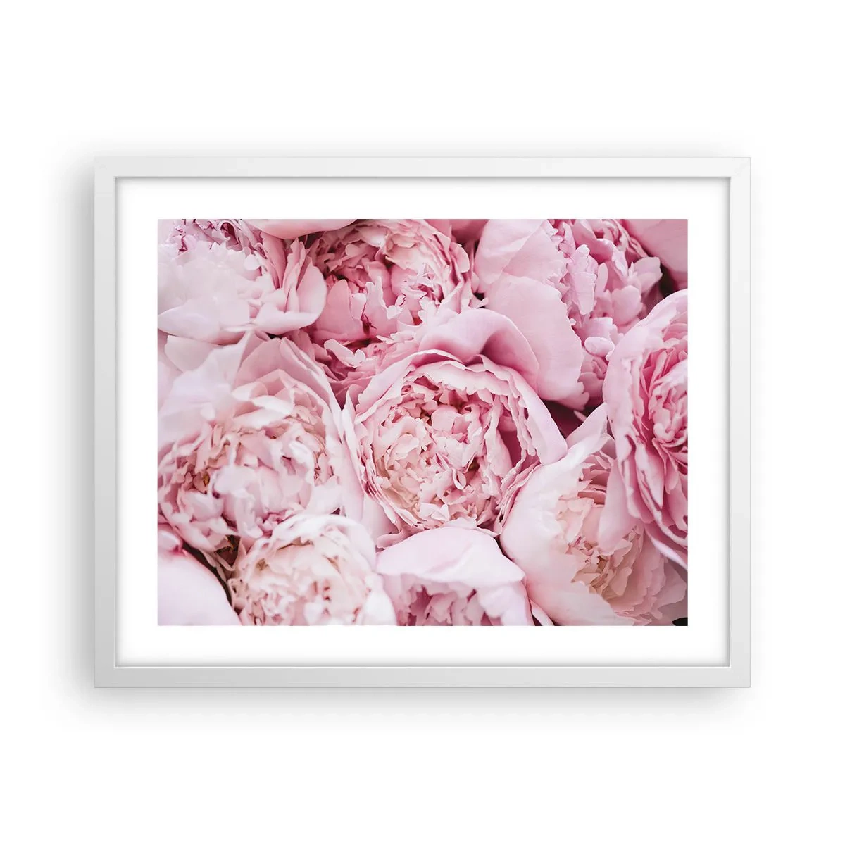 Poster in cornice bianca - Morbide e profumate - 50x40 cm