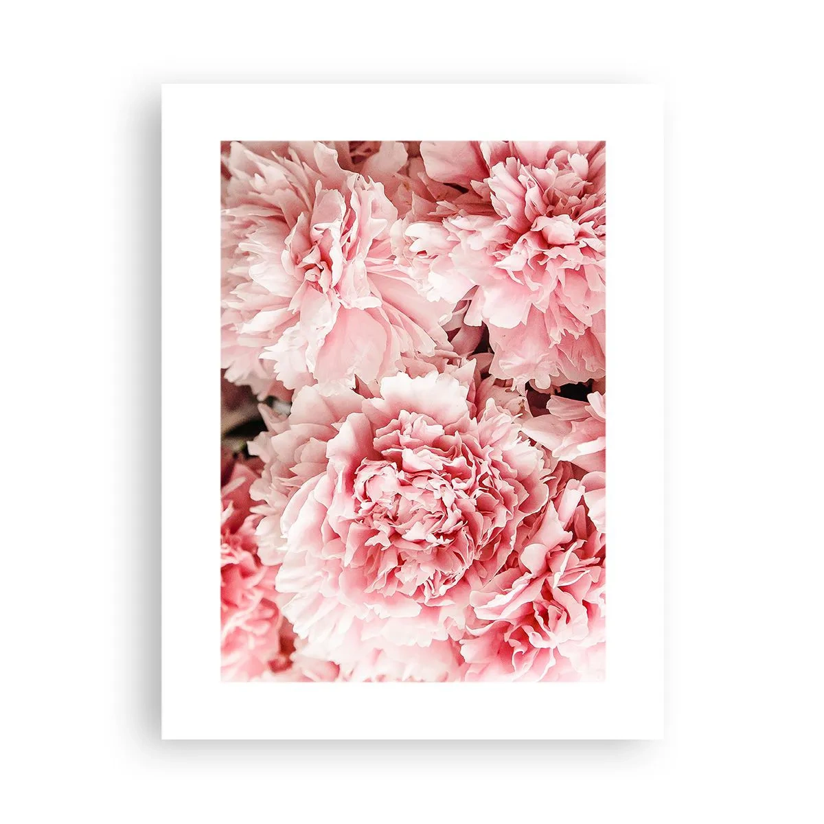 Poster - Sogno rosa - 30x40 cm