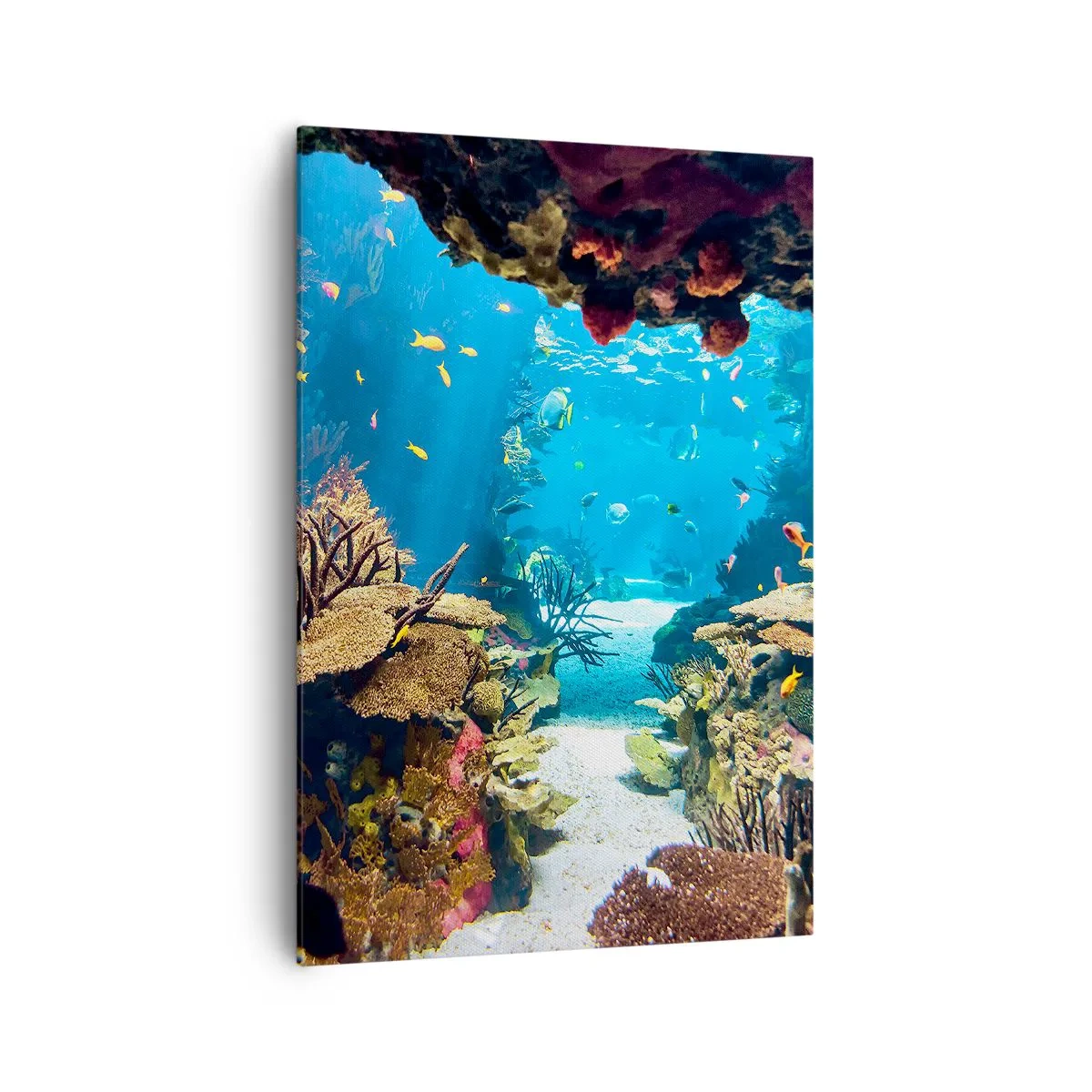 Quadro su tela - Stampe su Tela - Mondo sottomarino con barriera corallina e pesci - 70x100cm - Non lo avresti neanche sognato - Decorazione murale moderna per soggiorno e camera da letto ARTTOR