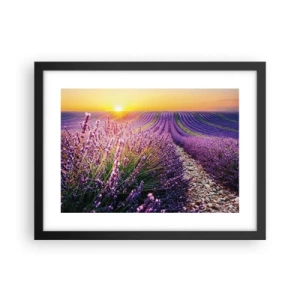 Poster in cornice nera - Campo profumato - 40x30 cm