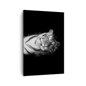 Quadro su tela - Stampe su Tela - Una tigre bianca artisticamente raffigurata su uno sfondo nero - 70x100cm - Selvaggità e pace - Decorazione murale moderna per soggiorno e camera da letto ARTTOR