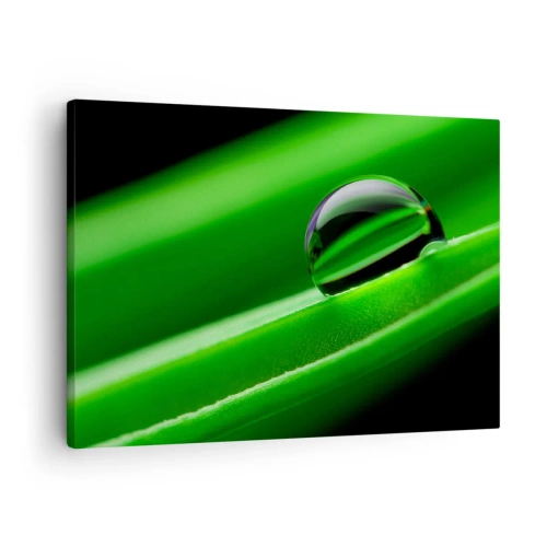 Quadro su tela - Stampe su Tela - Primo piano di una goccia di rugiada su una foglia verde - 70x50cm - La vita da vicino - Decorazione murale moderna per soggiorno e camera da letto ARTTOR