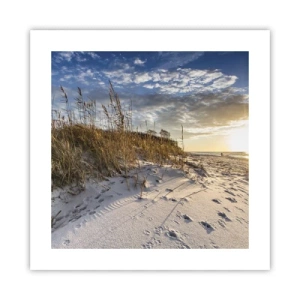 Poster - Invito a passeggiare - 40x40 cm