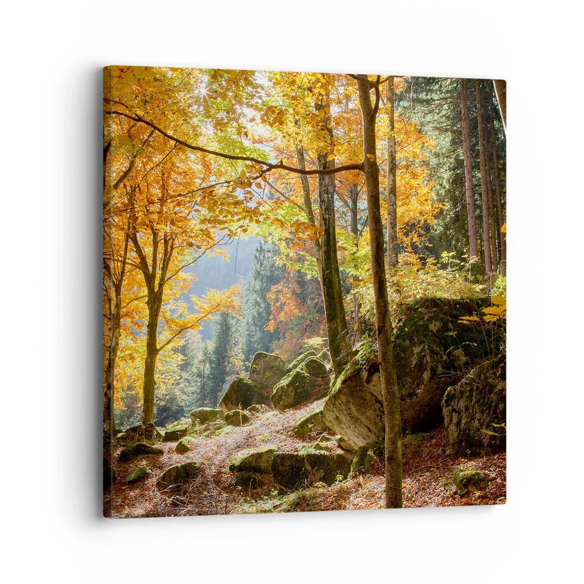 Quadro su tela - Stampe su Tela - Il tempo del riposo - 30x30 cm