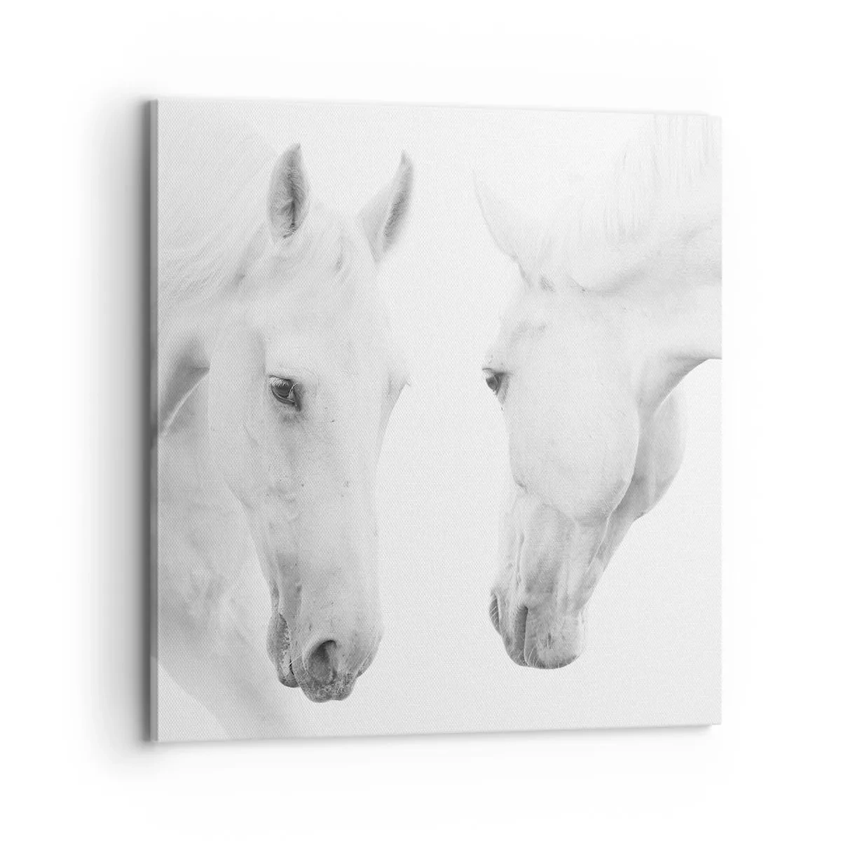 Quadro su tela - Stampe su Tela - È amicizia? - 70x70 cm