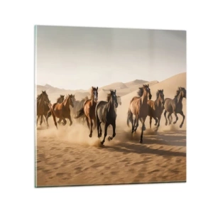 Quadro su vetro - Liberi come il vento - 70x70 cm