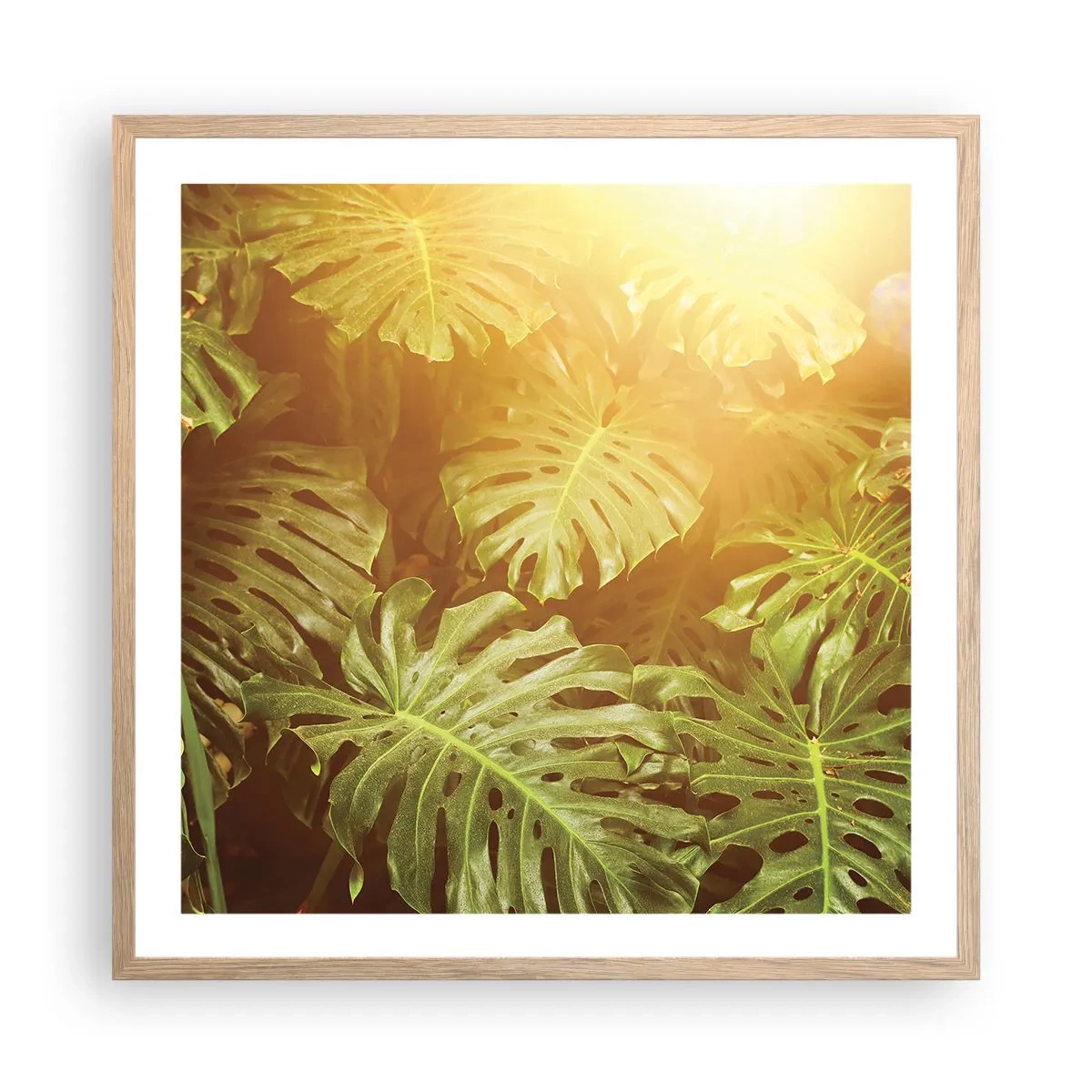 Poster in cornice rovere chiaro - Entrando nel verde... - 60x60 cm