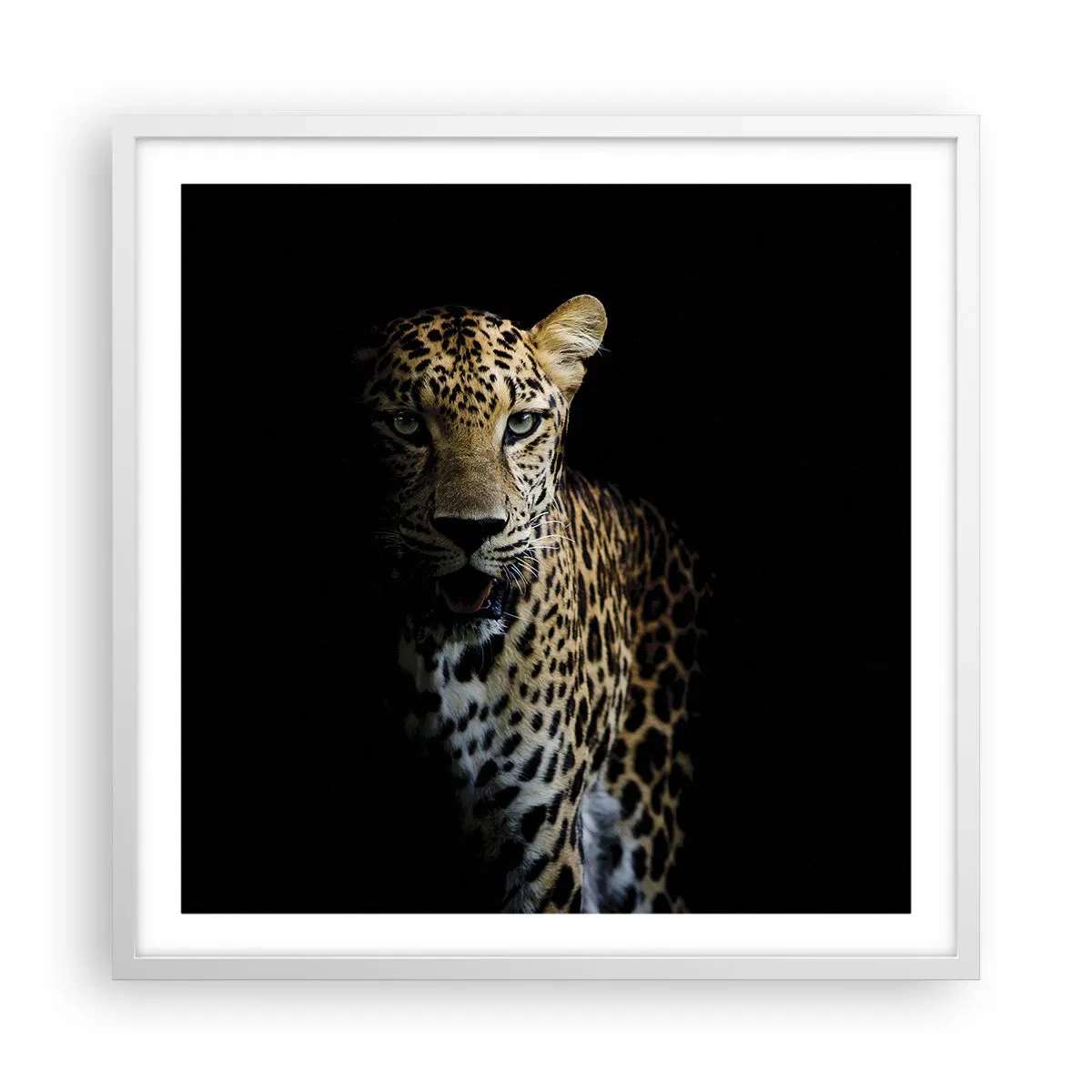 Poster in cornice bianca - Bellezza tenebrosa - 60x60 cm