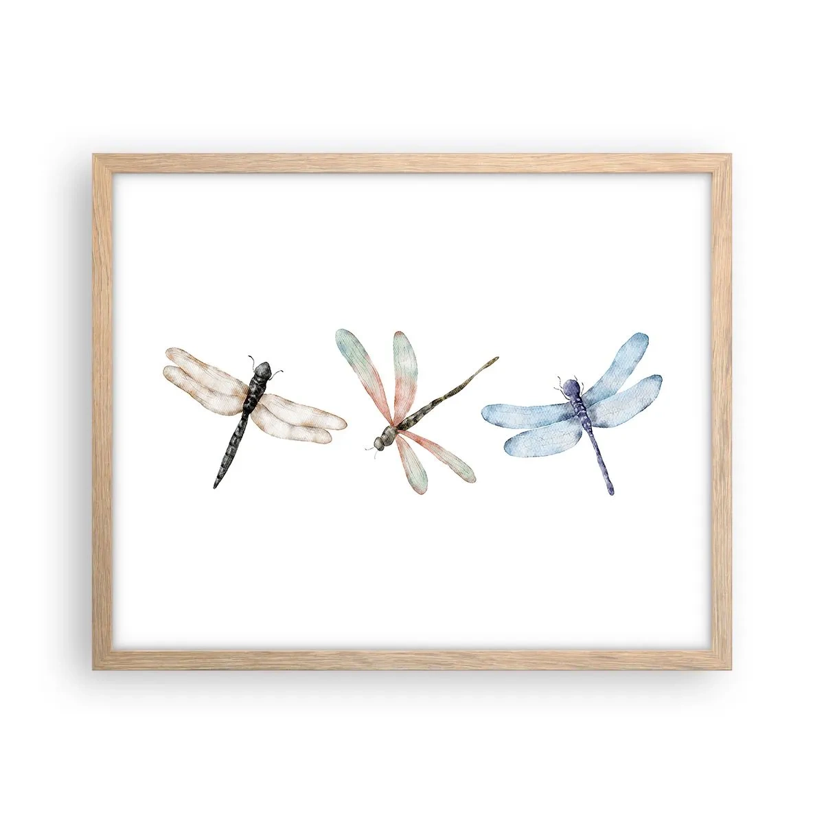 Poster in cornice rovere chiaro - Libellule senza peso - 50x40 cm