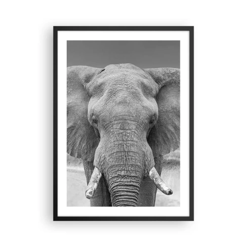 Poster in cornice nera - Elefante nella fotografia artistica in bianco e nero - 50x70cm - Benvenuti nel mio mondo - Decorazione murale moderna per soggiorno e camera da letto ARTTOR