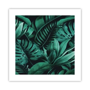 Poster - Dal profondo del verde tropicale - 40x40 cm