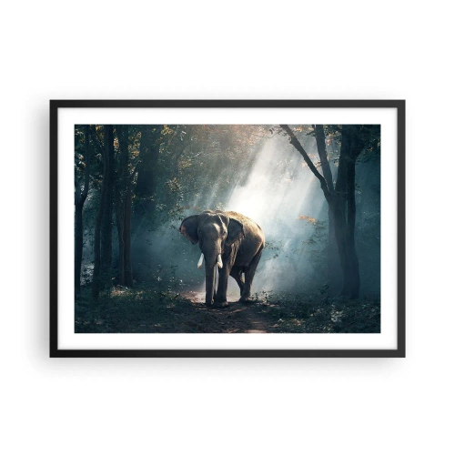 Poster in cornice nera - Elefante nella luce della foresta - 70x50cm - Tranquilla passeggiata - Decorazione murale moderna per soggiorno e camera da letto ARTTOR
