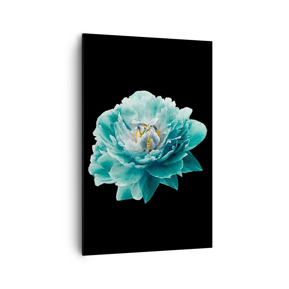 Quadro su tela - Stampe su Tela - Fiore di peonia turchese su sfondo nero - 80x120cm - Petali blu e oro - Decorazione murale moderna per soggiorno e camera da letto ARTTOR