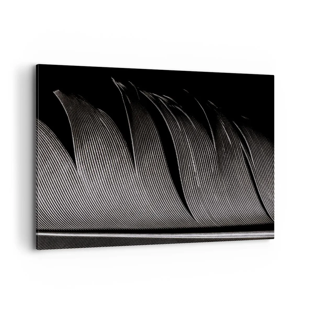 Quadro su tela - Stampe su Tela - Texture di piume bianche e nere in stile minimalista - 100x70cm - Piuma: struttura meravigliosa - Decorazione murale moderna per soggiorno e camera da letto ARTTOR