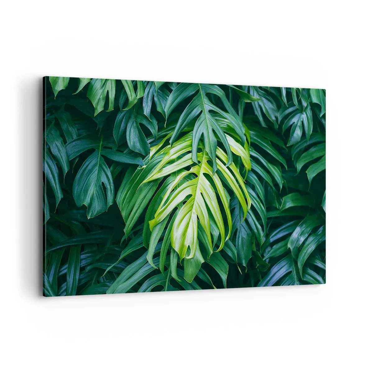 Quadro su tela - Stampe su Tela - Foglie verdi in una fitta disposizione tropicale - 120x80cm - Immergersi nella freschezza - Decorazione murale moderna per soggiorno e camera da letto ARTTOR