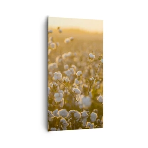 Quadro su tela - Stampe su Tela - Campo di morbidezza - 65x120 cm