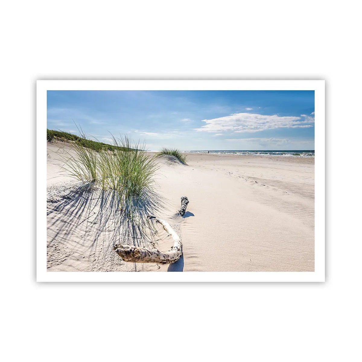 Poster - Una spiaggia baltica con sabbia, erba e un cielo azzurro calmo - 100x70cm - La più bella? Quella del baltico - Decorazione murale moderna per soggiorno e camera da letto ARTTOR