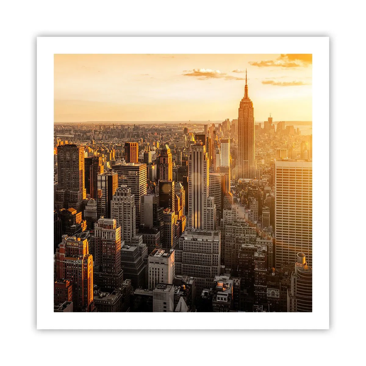 Poster - Crescere al sole - 60x60 cm