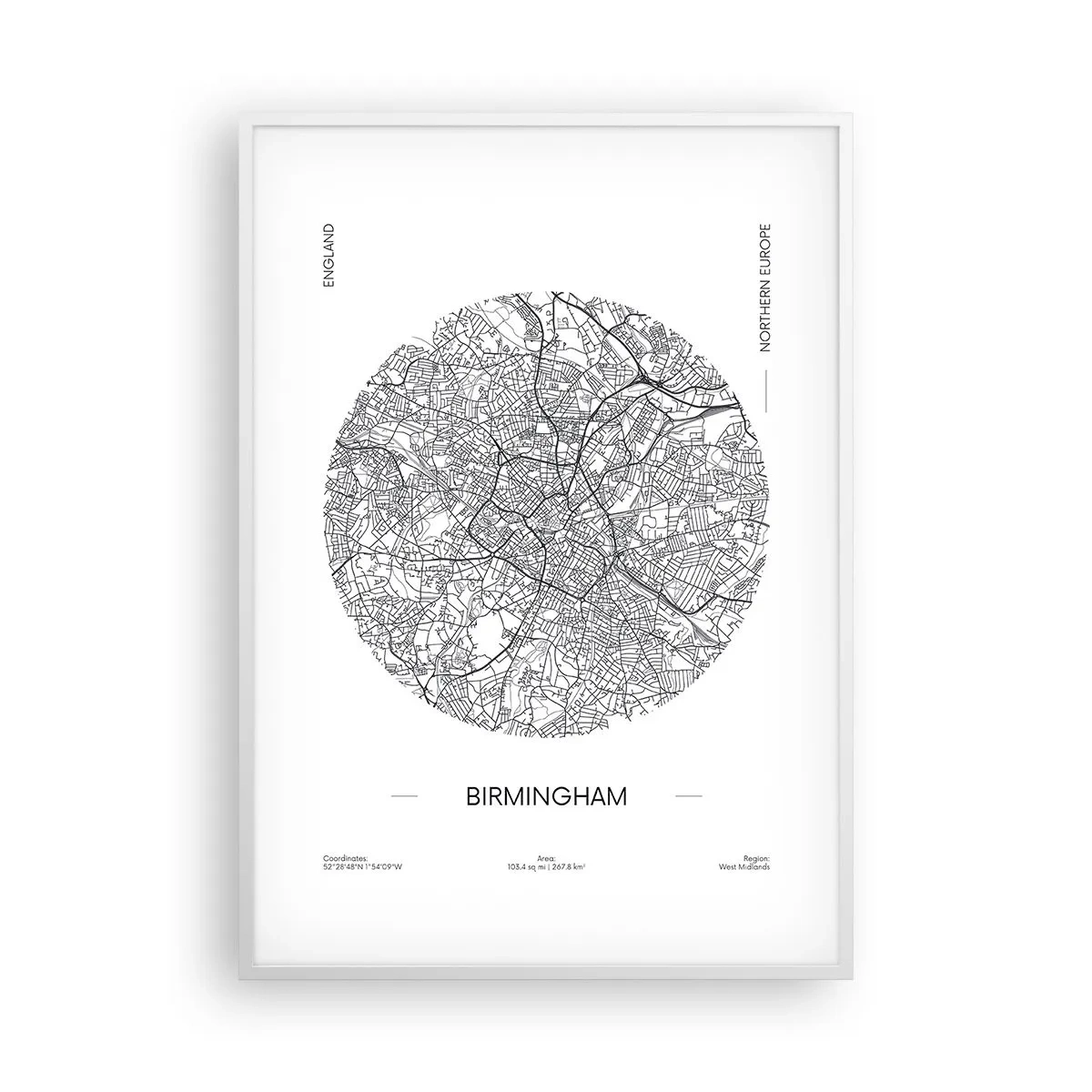 Poster in cornice bianca - Anatomia di Birmingham - 70x100 cm